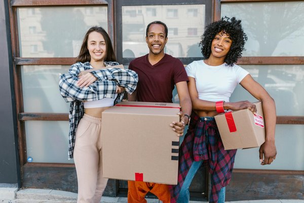 Essential Features That Define the Best Premium Cat Travel Carriers